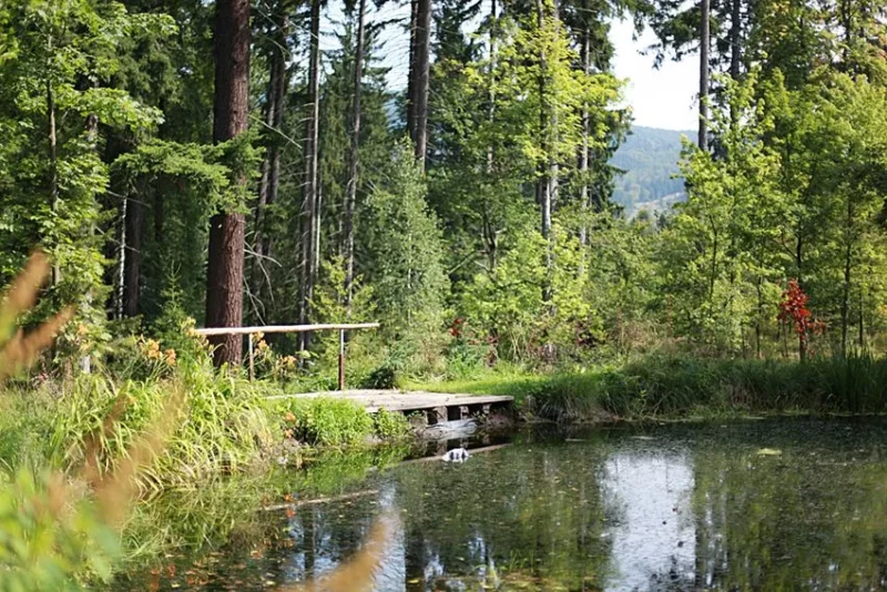 Konteskty-2012-Sokolowsko-fot-JGrzegorski-59