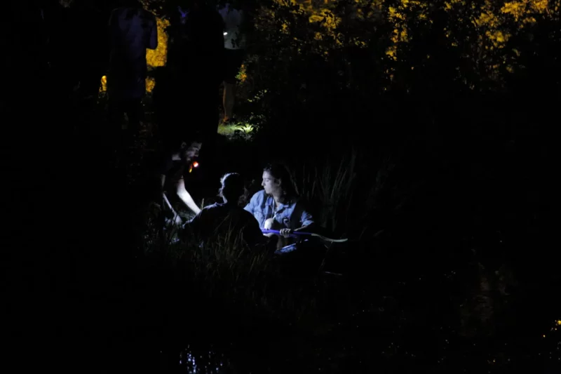 Sanatorium-dźwięku-Sokołowsko-2017-fot.Tomasz-Ogrodowczyk52