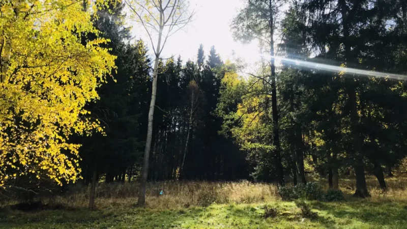 Villa Rosa Park Zdrojowy