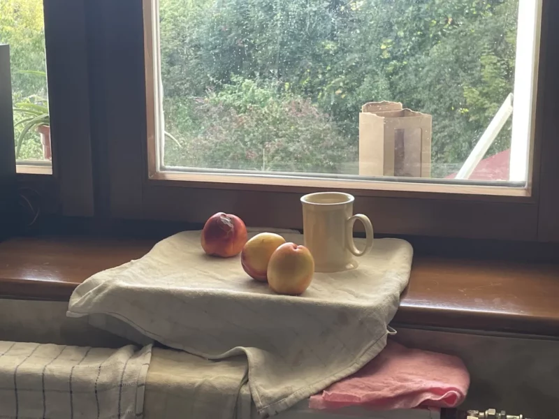 Warsztaty Martwa Natura