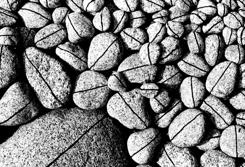 Zygmunt Rytka prace założyciela Fundacji 6