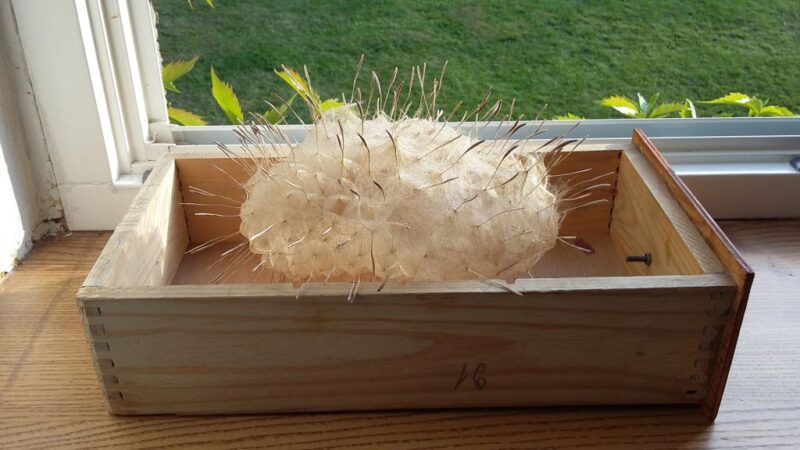 katalog-entropii-sztuki31