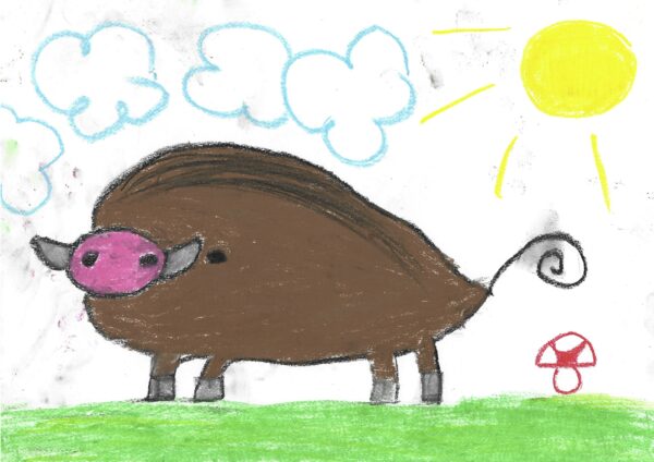 Legenda o leśnym żródełku w Wałbrzychu00001