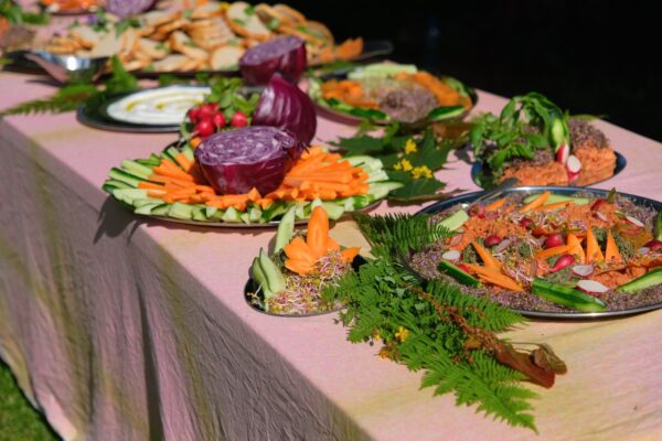 sanatorium dzwieku sokolowskocz200001