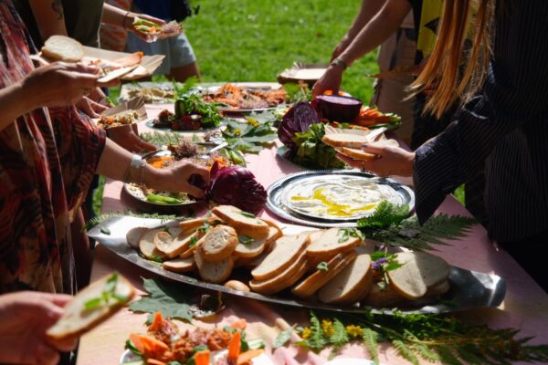 sanatorium dzwieku sokolowskocz200005