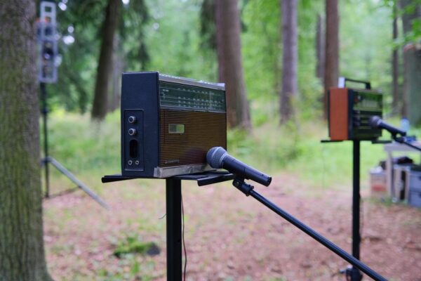 sanatorium dzwieku sokolowskocz200006